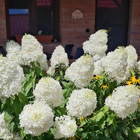 Appartamento Betyár